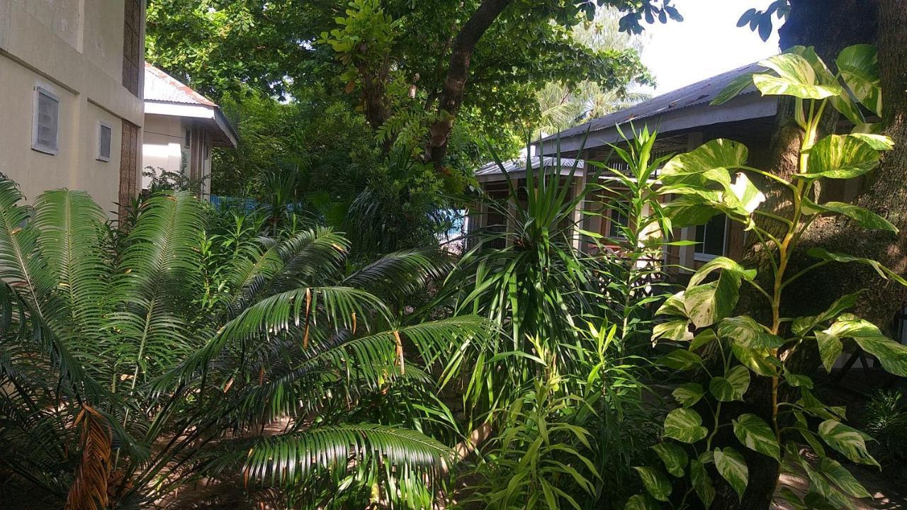 The Shark'S Tail Dive Center Hotel Daanbantayan Exterior photo