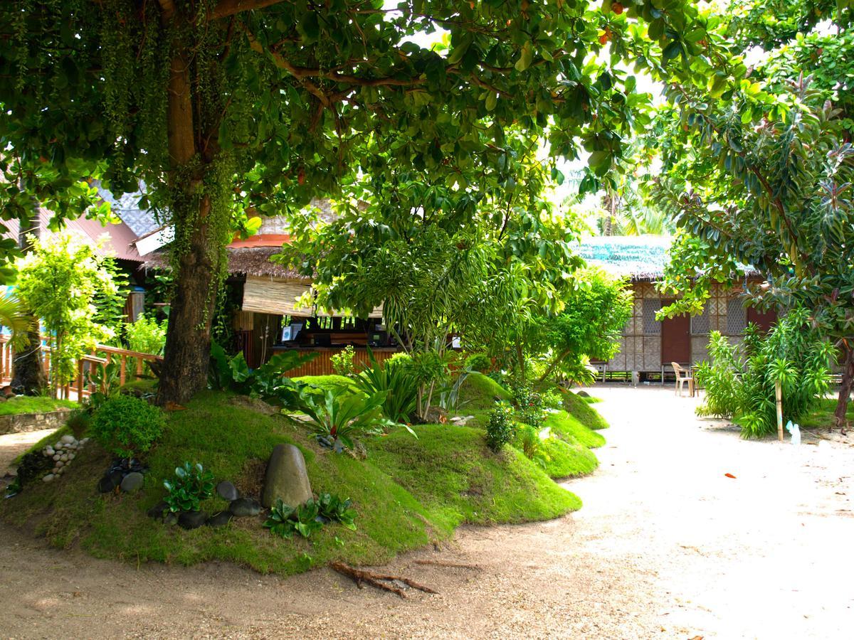 The Shark'S Tail Dive Center Hotel Daanbantayan Exterior photo