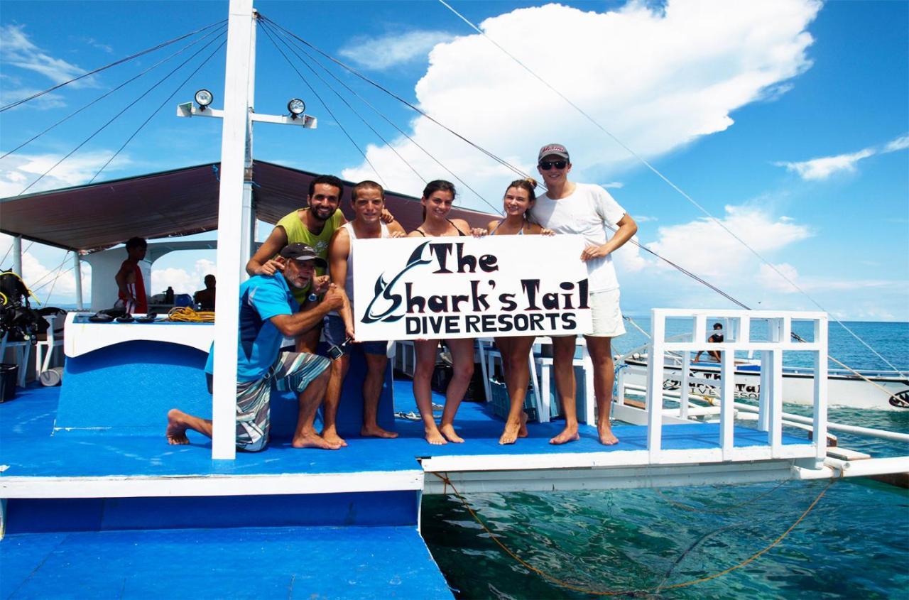 The Shark'S Tail Dive Center Hotel Daanbantayan Exterior photo